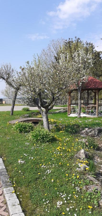 B&B Talstation Horselberg-Hainich Exterior photo